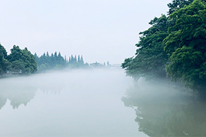 朦朧青城山瞰今朝