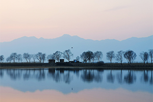 水墨畫 延慶野鴨湖濕地公園