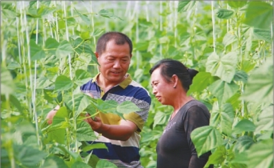 河北省張家口市陽原縣扶貧干部群像　　河北省張家口市陽原縣，在這個河北省貧困發生率最高的縣，有這樣一群扶貧干部。用最美好的年華，扎根在最艱苦的地方，啃最難啃的骨頭，拔最難拔的寨……脫貧攻堅的最后戰役，已然吹起了沖鋒號。他們，正是千千萬萬沖在扶貧最前線戰士的縮影。 