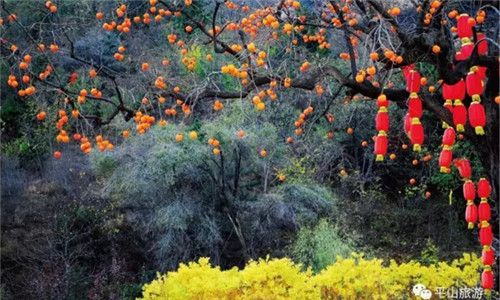 平山縣-佛光山期待一場最美的遇見