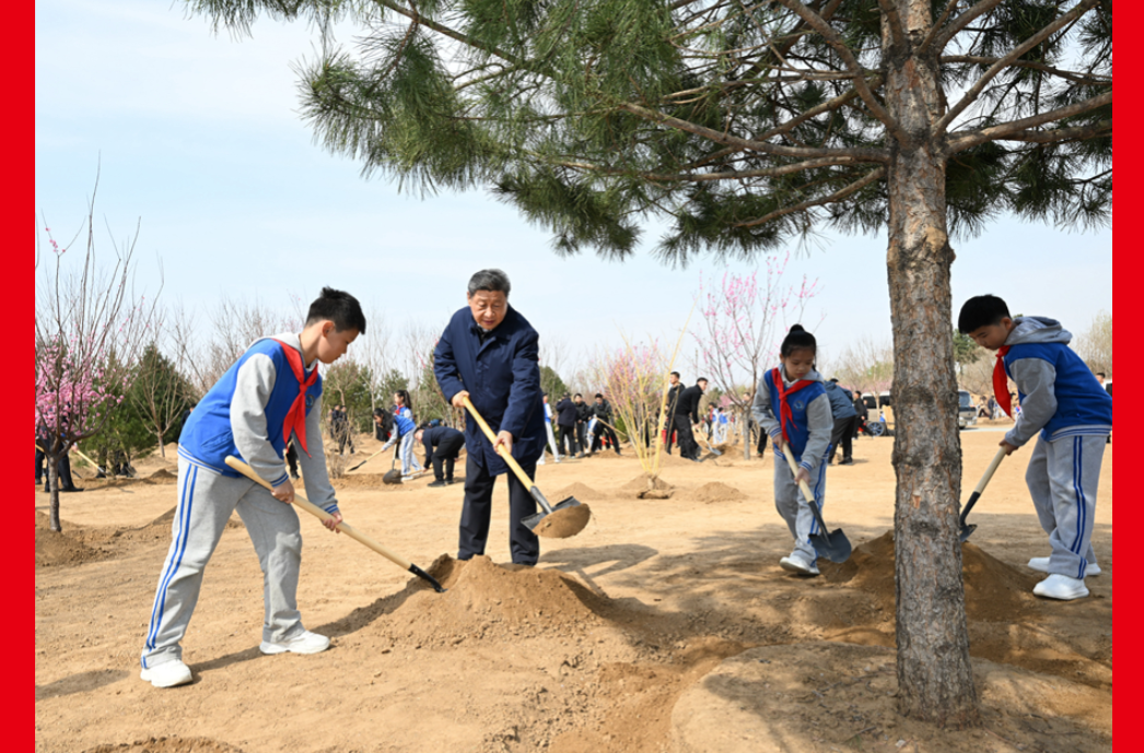 习近平：汇聚共建美丽中国磅礴力量 让祖国大地更加绿意盎然生机勃发