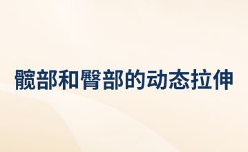 髋部和臀部的动态拉伸
