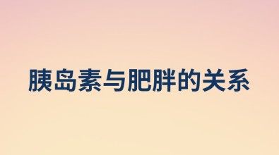 胰岛素与肥胖的关系