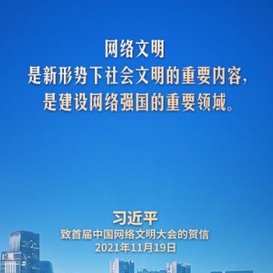 网络文明是新形势下社会文明的重要内容