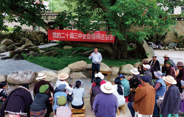 2024年7月23日，在四川省甘孜州稻城县香格里拉镇热光村的百年核桃树下，泸州帮扶 稻城工作队领队向当地群众宣讲党的二十届三中全会精神。
