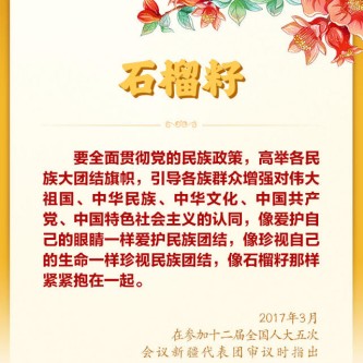 “让民族团结之花开遍天山南北”