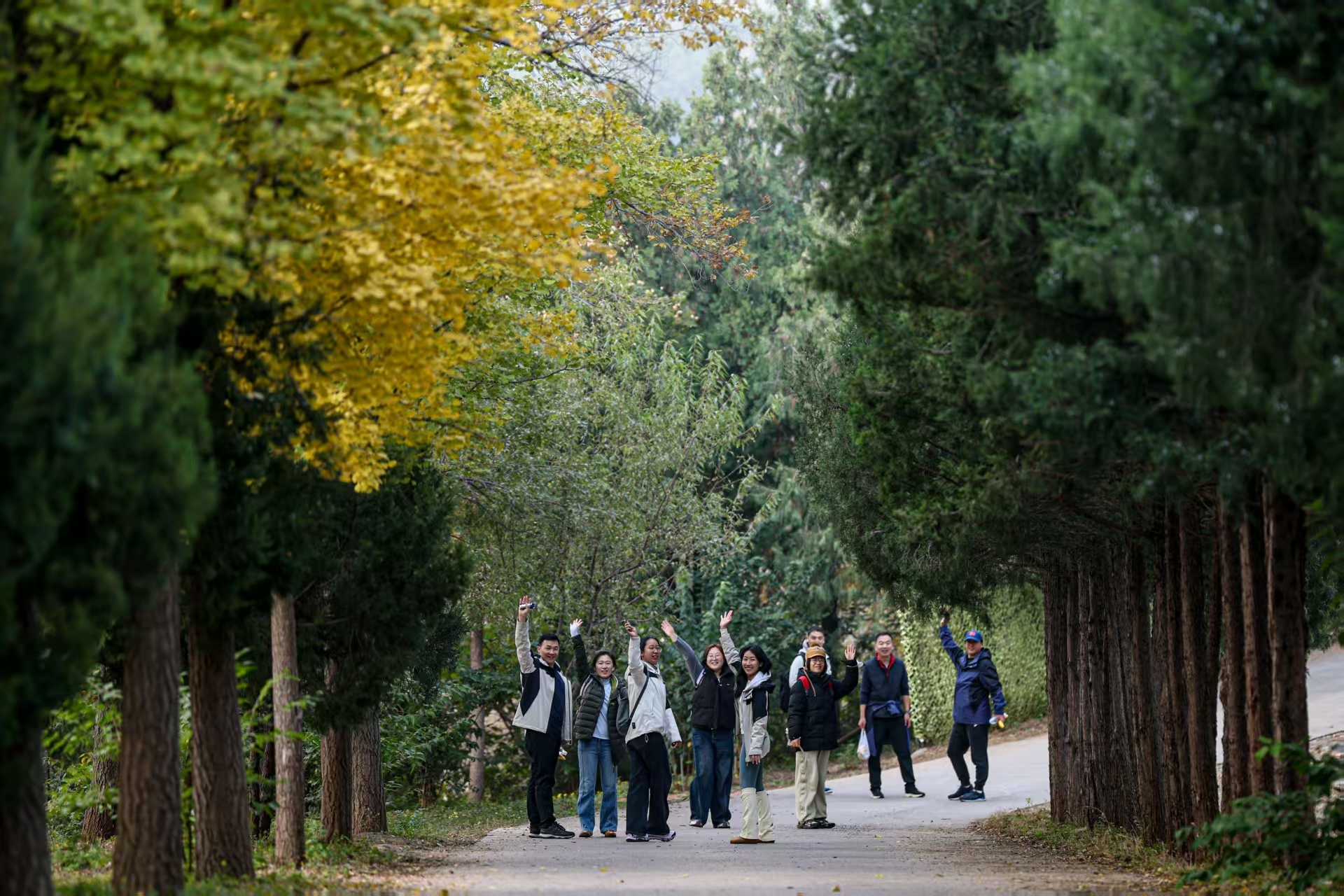 10月31日，国家体育总局在北京西山国家森林公园举办2025年秋季登高活动。