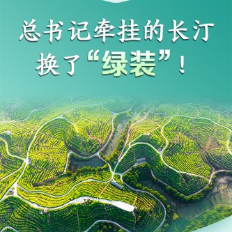总书记牵挂的长汀，换了“绿装”！