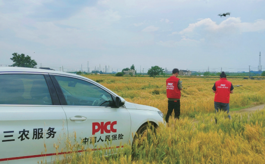 > 2025年5月15日，中国人保财险江苏分公司进行现场查勘，积极开展“三农”赔付工作。
