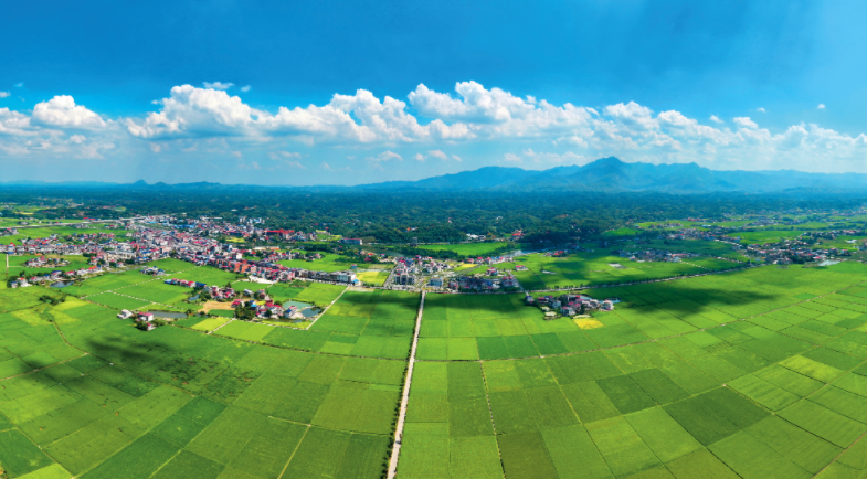 2025年9月16日，湖南省衡阳市衡山县白果镇，蓝天白云下高标准农田与道路、民居、远山相映成景，呈现一幅美丽的生态田园画卷。