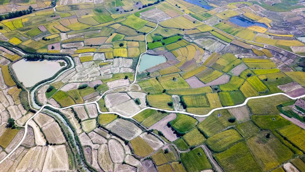 安徽省鳳陽縣小崗村的田野景象（2018年9月27日攝，無人機照片）。新華社記者 張端 攝